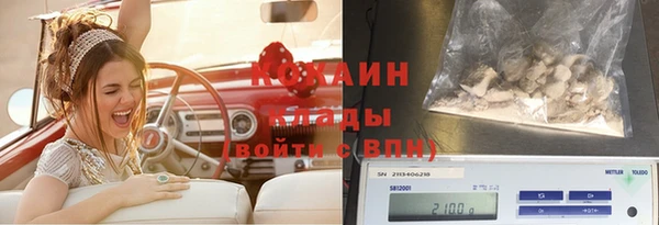 таблы Козловка