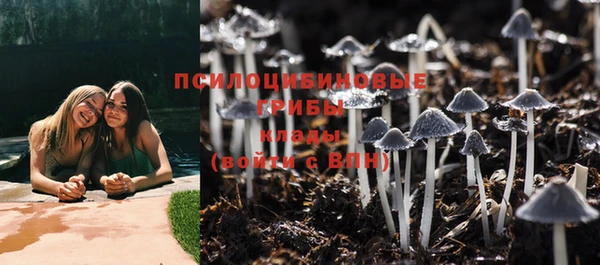 прущий лед Козельск