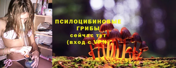 таблы Козловка