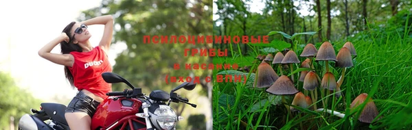 таблы Козловка