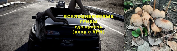 таблы Козловка