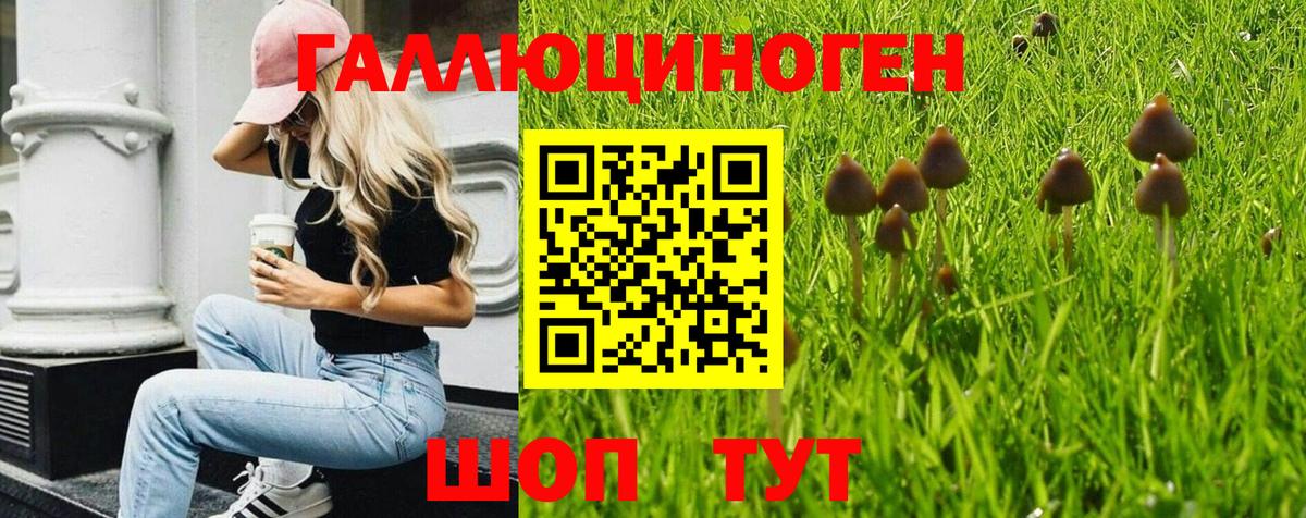 Псилоцибиновые грибы мухоморы Сызрань