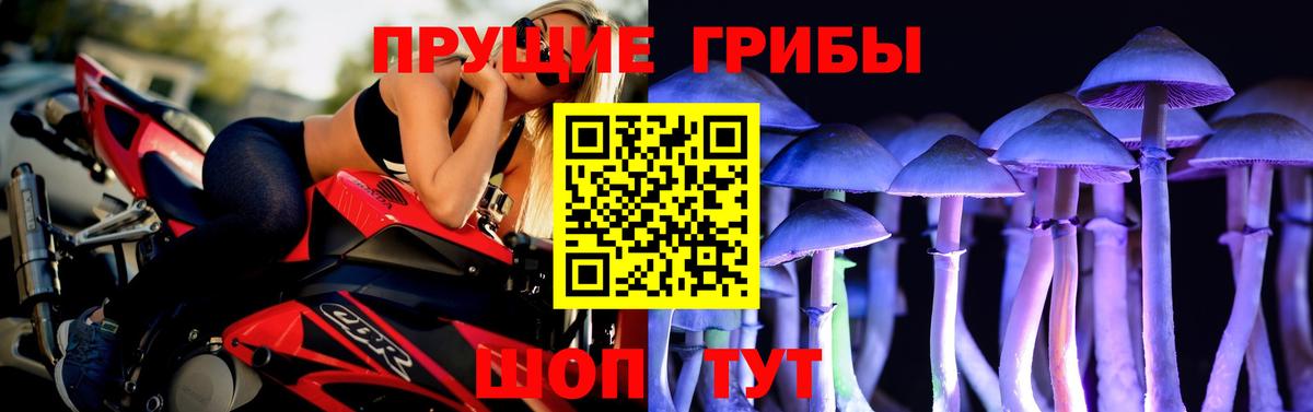 Сызрань  цена   Галлюциногенные грибы GOLDEN TEACHER  Вход с VPN  Галлюциногенные грибы GOLDEN TEACHER 